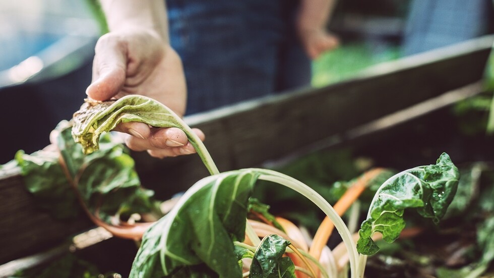 خبراء أوروبيون ينبهون إلى "تفاقم" الجفاف الحاد في أوروبا ويحذرون من خطر العواصف