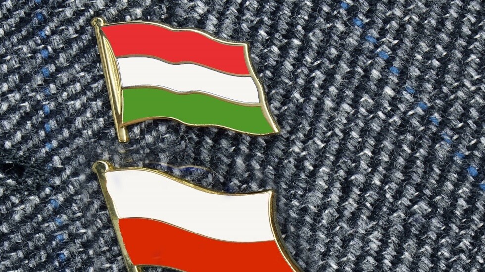 صحيفة أمريكية تكشف ازدياد شدة الخلاف بين بولندا وهنغاريا بسبب أوكرانيا