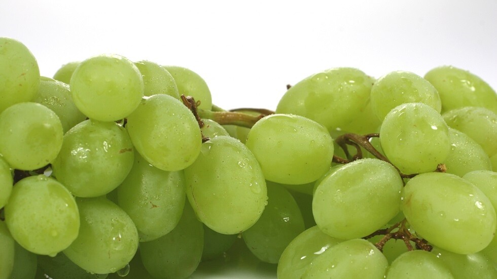 دراسة تظهر  تأثيرات "ملحوظة" لاستهلاك العنب على الصحة والعمر