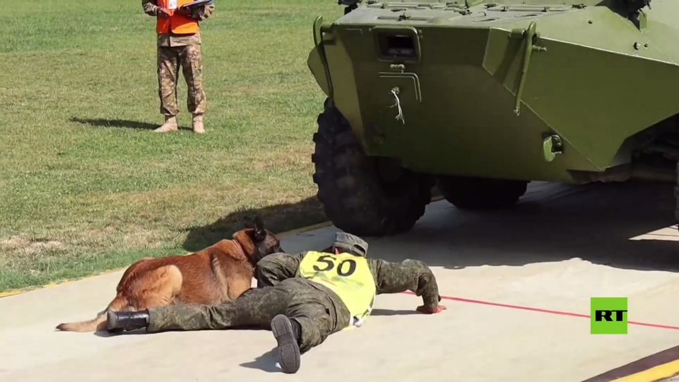 بالفيديو.. مشاركو مسابقة "الصديق الوفي" يجتازون الحواجز مع كلابهم العسكرية