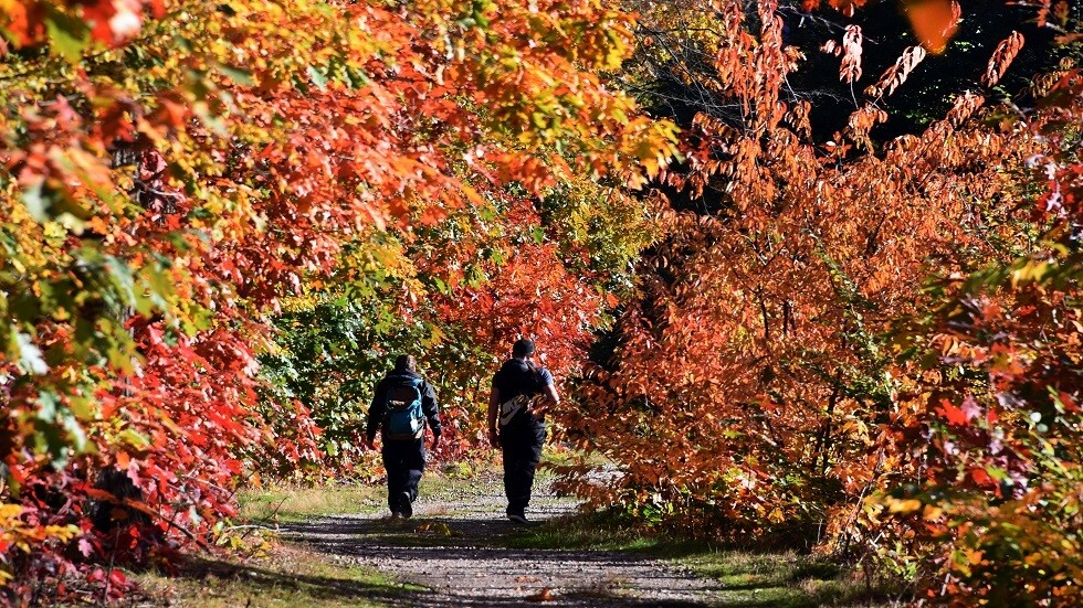 الخبراء يكشفون التأثير السلبي للخريف في الجسم