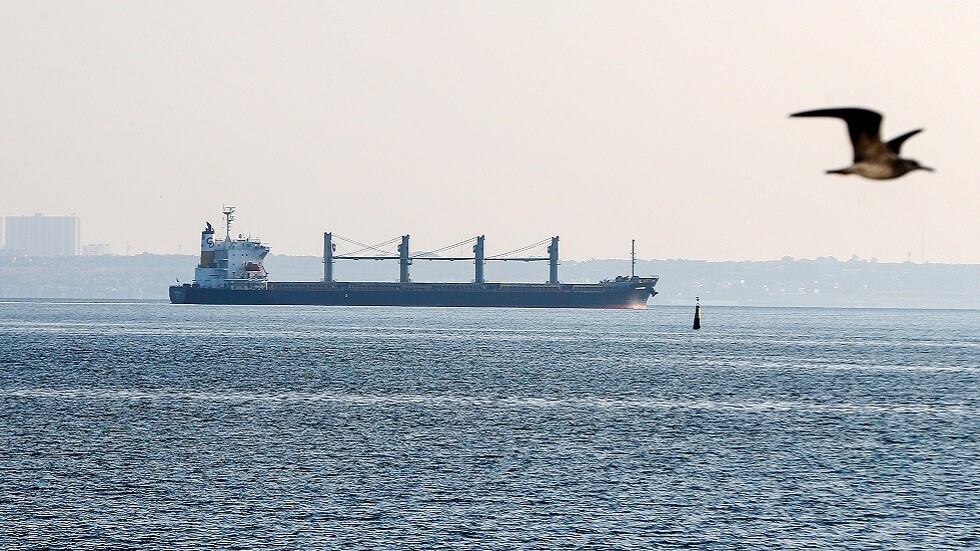 وجهة إحداها دولة عربية.. خروج 3 سفن محملة بالمنتجات الزراعية من موانئ أوكرانيا