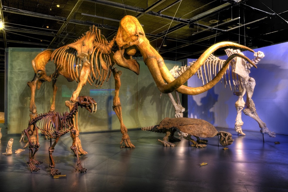 متى انقرضت الديناصورات؟
