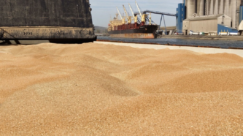 سلطات كييف تنوي تصدير الحبوب من موانئها بما لا يزيد عن ثلاث سفن يوميا