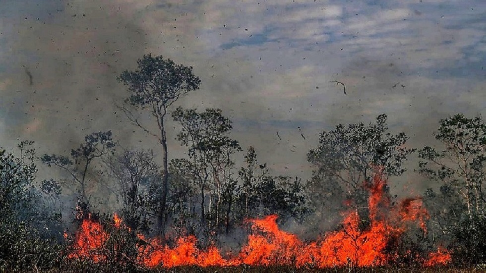 اتساع رقعة حرائق الأمازون في يوليو