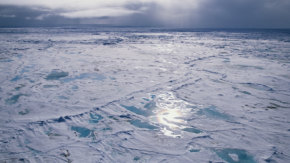 هل مصير أكبر صفيحة جليدية في العالم في أيدينا؟!