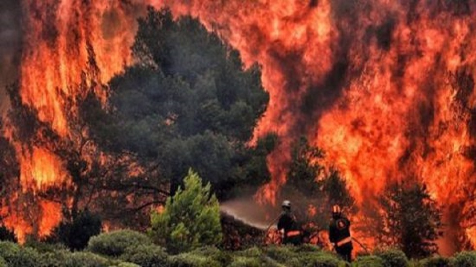 احتدام حرائق الغابات في فرنسا