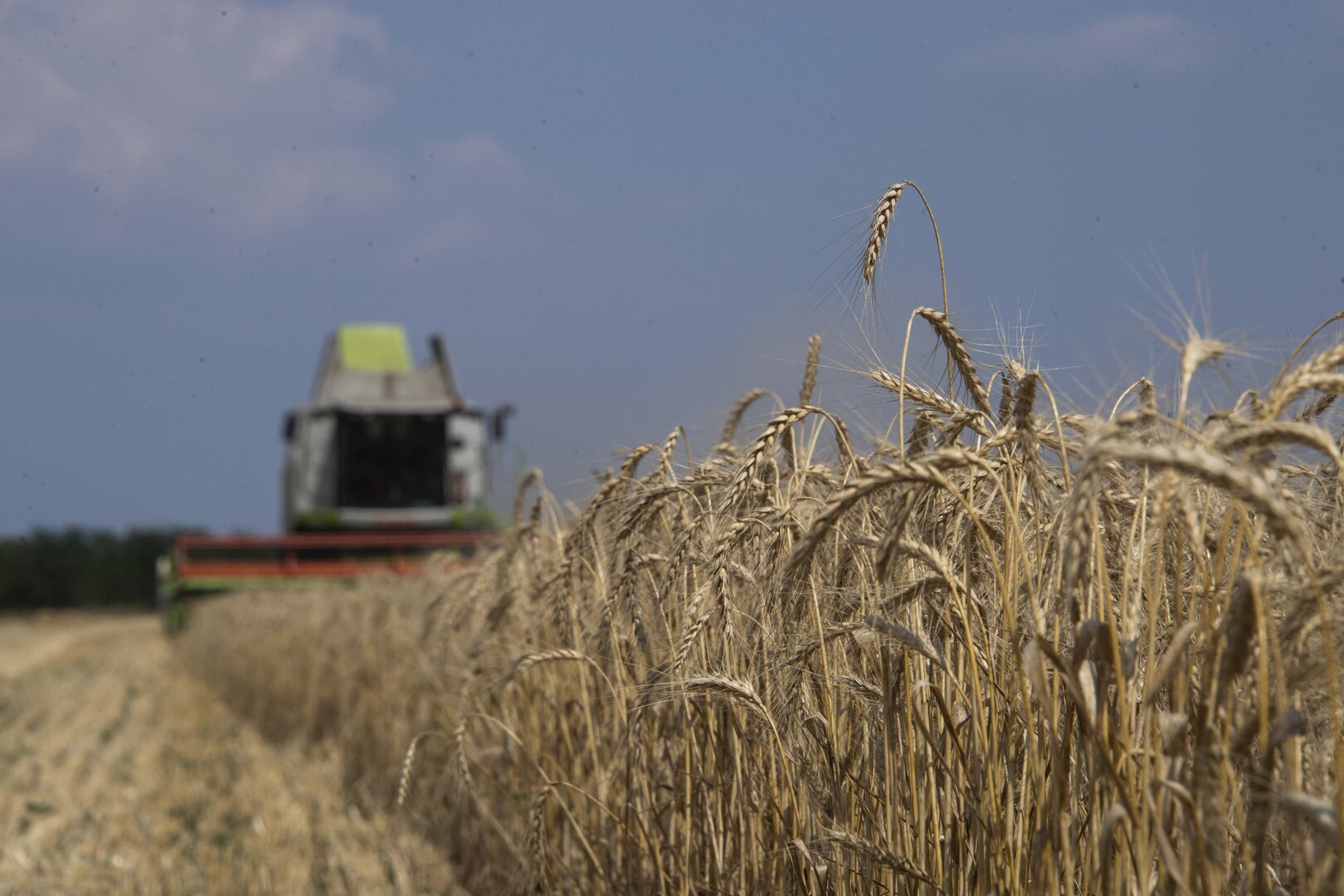 مسؤول: محاصيل الحبوب في الأراضي المحررة بأوكرانيا قد تتجاوز مليوني طن