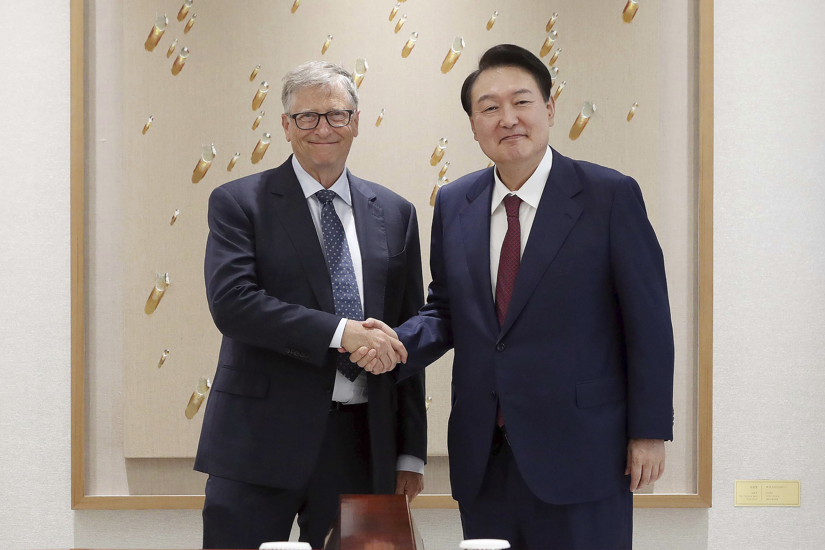رئيس كوريا الجنوبية يؤكد لبيل غيتس أهمية التعاون مع مؤسسته