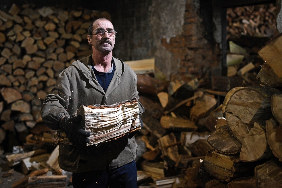 بلغاريا تحظر تصدير الأخشاب بسبب الارتفاع الشديد في أسعار الحطب