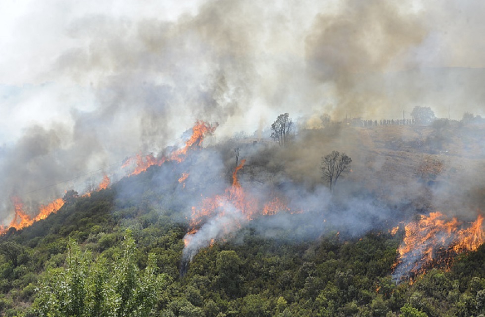 الداخلية الجزائرية: مصرع 26 شخصا جراء حرائق الغابات شرقي البلاد