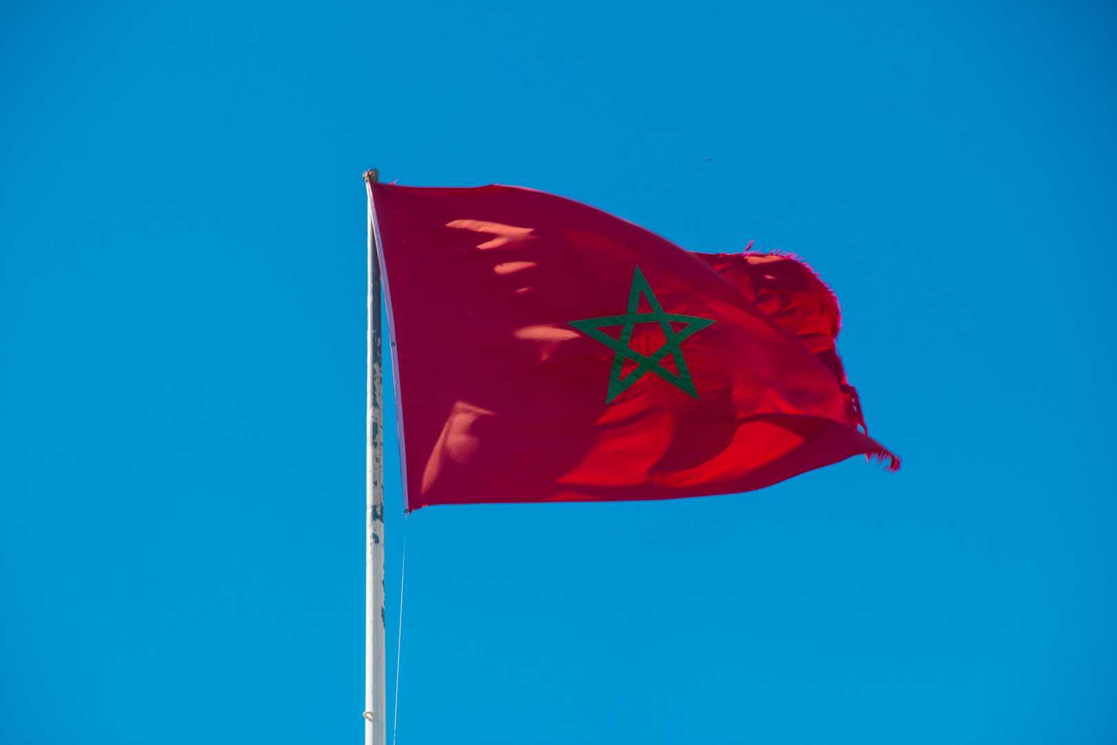 المغرب.. تطورات جديدة في قضية مدونة متهمة بـ
