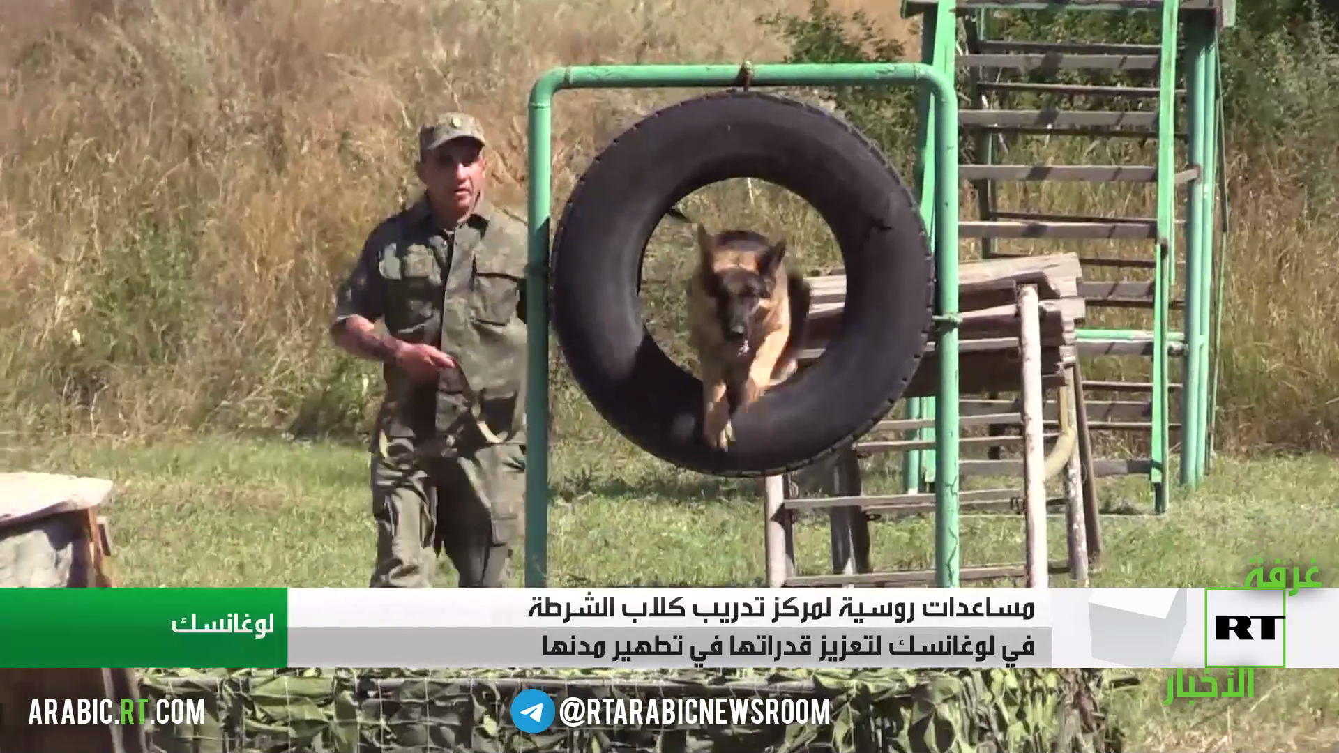 مساعدات روسية لمركز تدريب كلاب الشرطة في لوغانسك