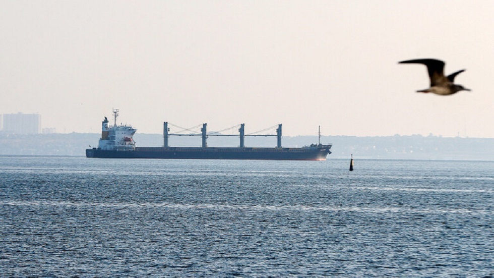 الدفاع التركية: سفينتا حبوب غادرتا ميناء أوديسا الأوكراني