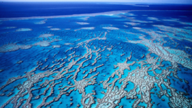 هل الحاجز المرجاني العظيم يشفي نفسه؟