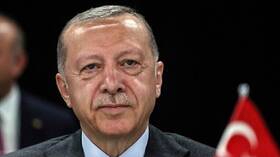 أردوغان يعتزم مناقشة الوضع حول محطة زابوروجيه النووية مع بوتين
