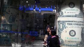 برلماني مصري: لو جمعنا 25 مليار دولار من مواطنينا بالخارج فلن نحتاج لصندوق النقد الدولي