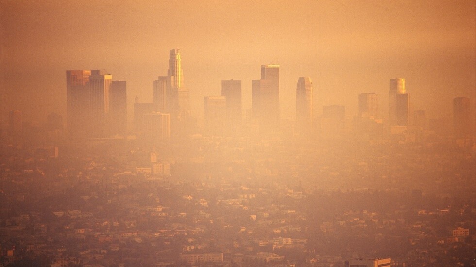 بحث يدرس آثار تلوث الهواء على أمعاء الأطفال