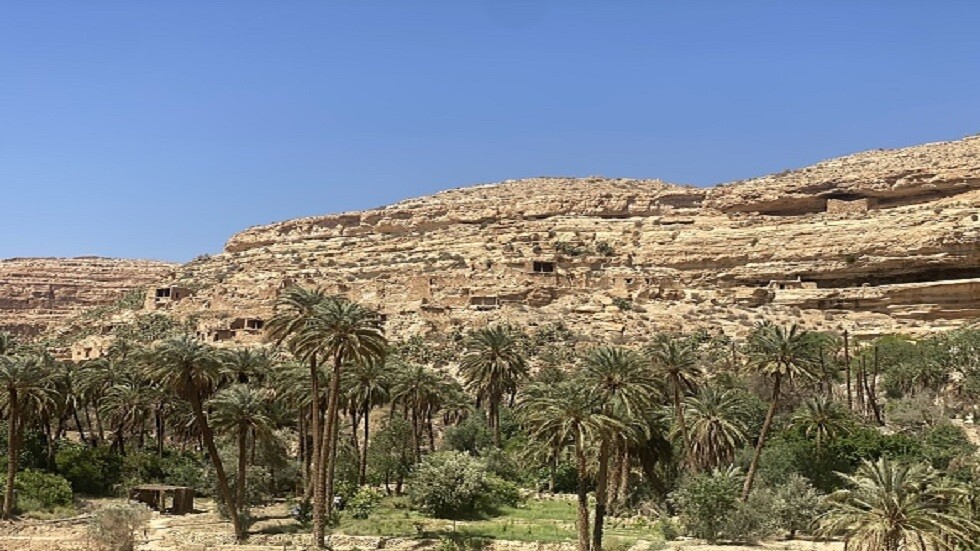 خبير: الجزائر تنام على كنز ثمين