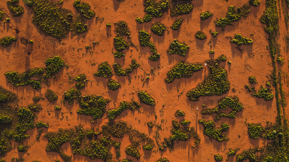 اكتشاف شعاب مرجانية غامضة في صحراء أستراليا!