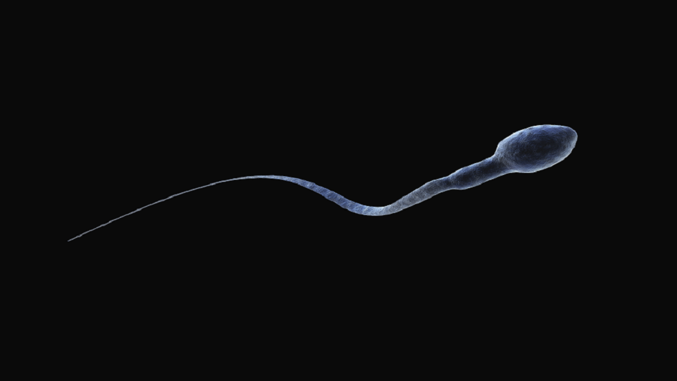 التعرّض لمادة شائعة بتركيزات عالية يمكن أن يقلل من جودة السائل المنوي!