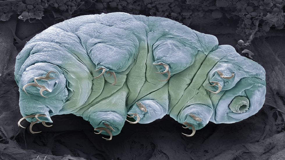 وأخيرا.. كشف سر قدرة 