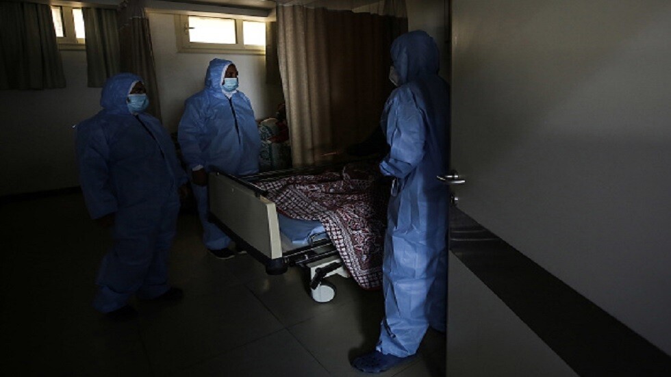 مستشار الرئيس المصري يرجح ظهور إصابات جديدة بجدري القردة في البلاد