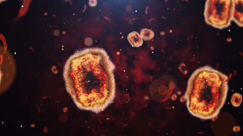 العلماء يكشفون أن جدري القردة قد يسبب أضرارا عصبية!