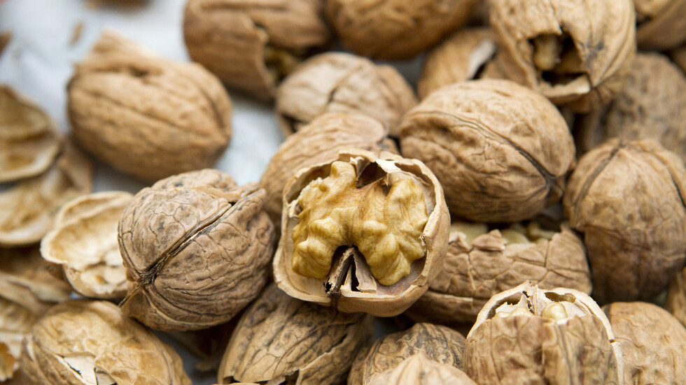 الجوز قد يكون "جسرا" لشيخوخة صحية مع تقدمنا في العمر