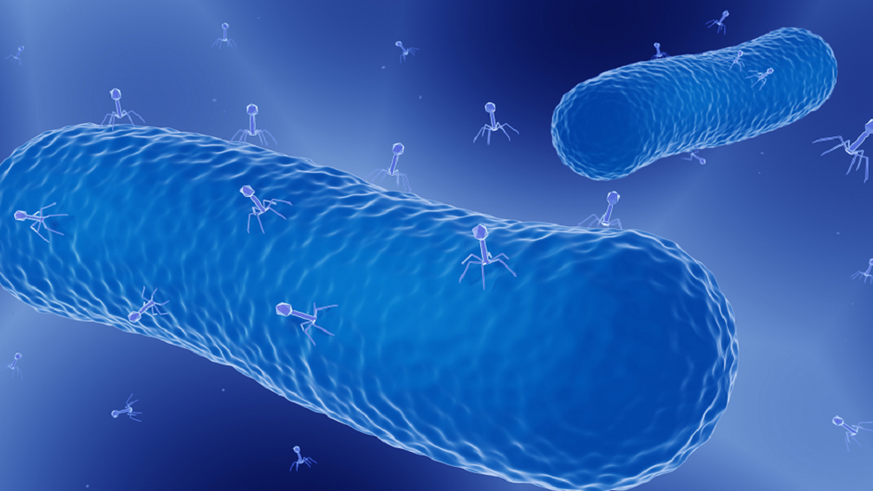 علماء يطورون علاجا ثوريا جديدا يمكنه محاربة البكتيريا المقاومة للأدوية!