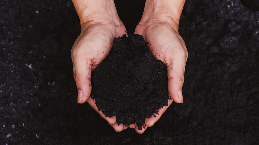 اكتشاف بنية بروتينية غامضة لم يسبق لها مثيل في فيروس التربة لأول مرة