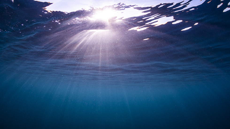 كائن غريب في المحيط يثير حيرة العلماء!