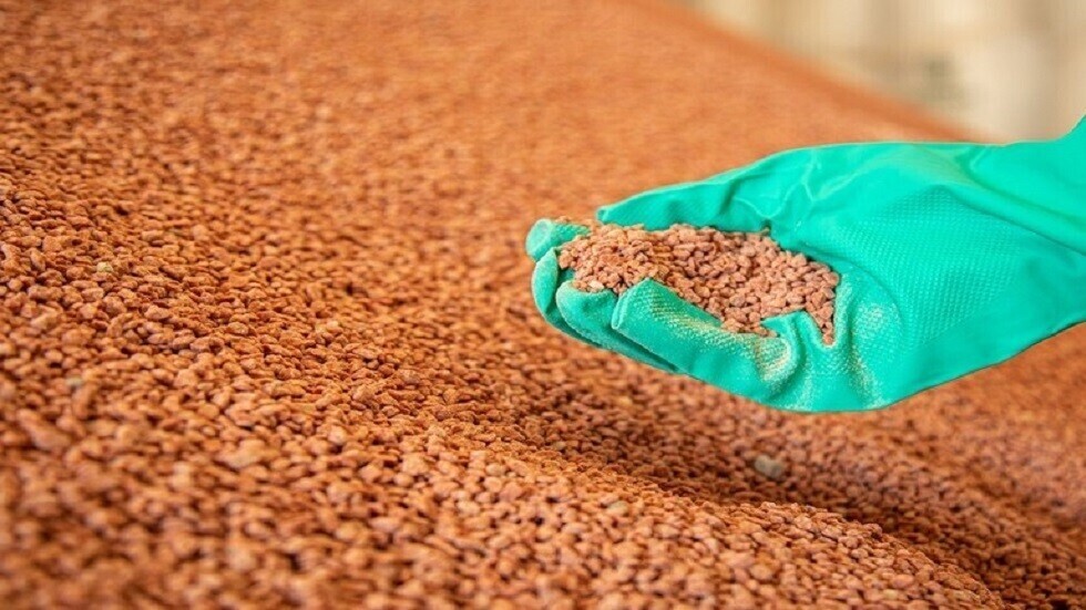 إفريقيا تتضور جوعا.. وكراهية عمياء في دول البلطيق تمنع وصول الأسمدة الروسية إلى القارة السمراء