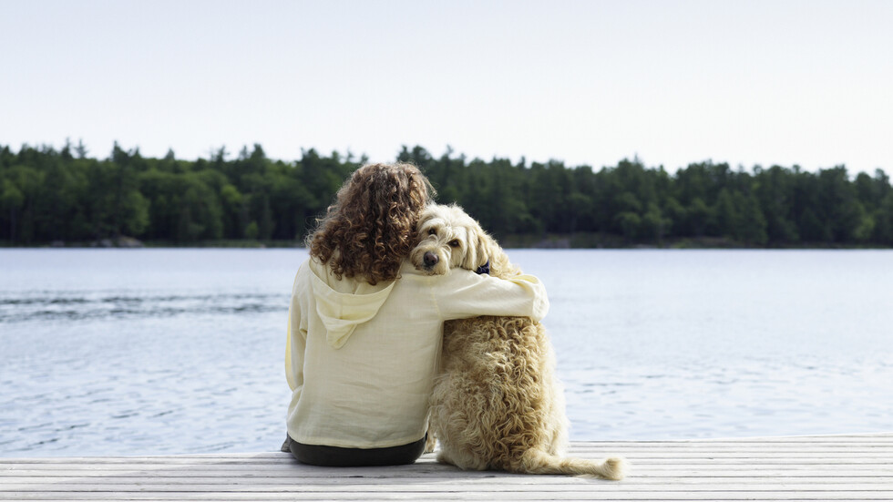 دراسة تؤكد قدرة الكلاب على تمييز رائحة المرهقين والمتوترين