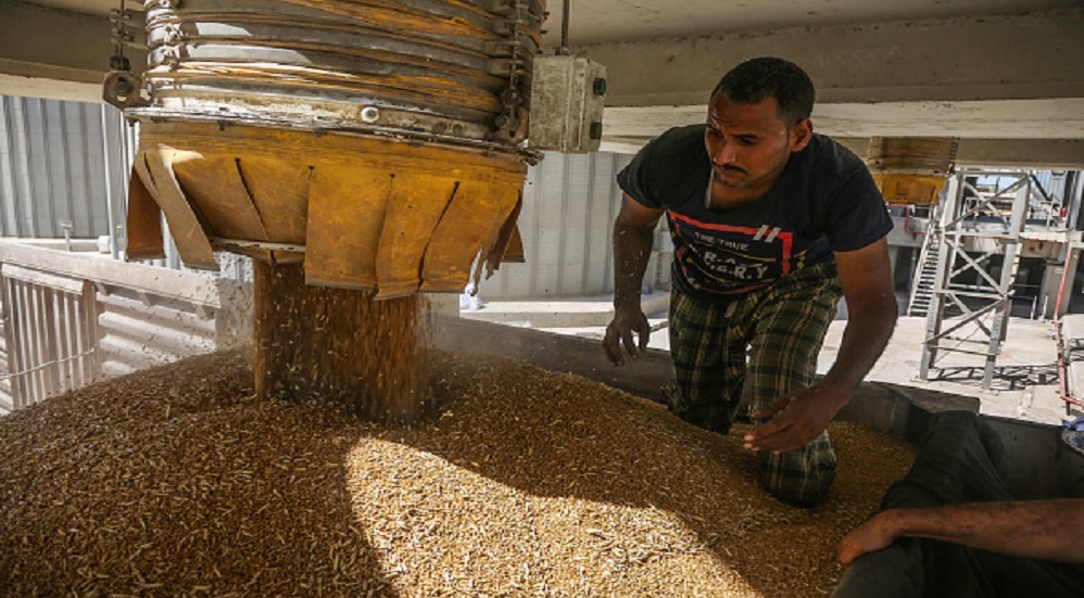 وزير التموين المصري: لدينا احتياطي من القمح لم يحدث في تاريخ البلاد
