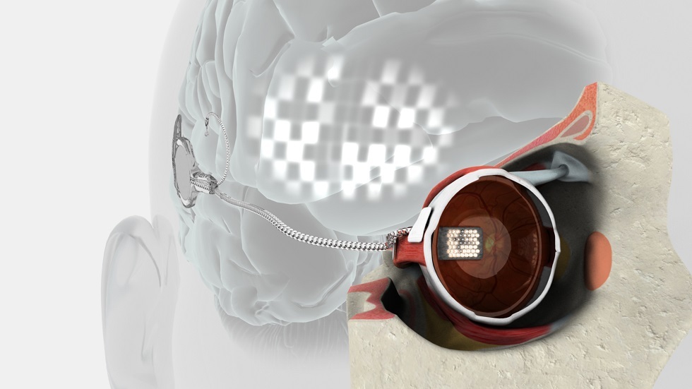 كشف آلية نقل الصورة من العين إلى الدماغ