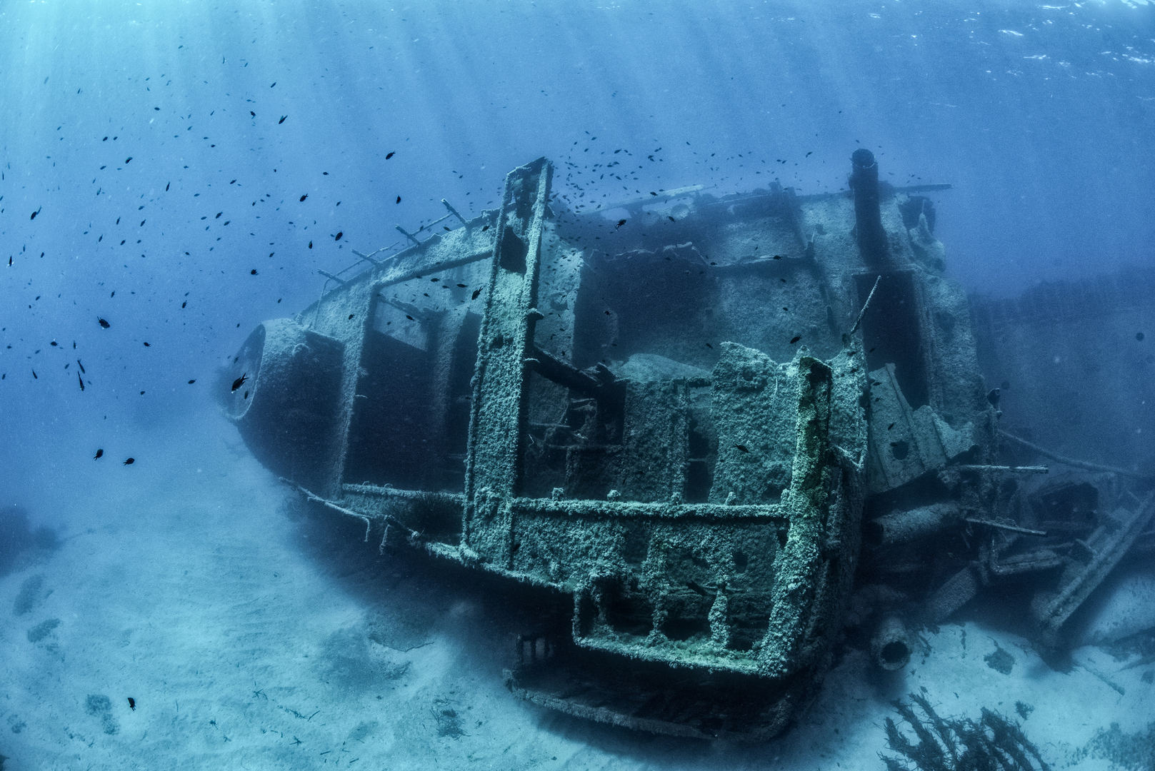 العثور على حطام سفينة اختفت منذ أكثر من 100 عام حذرت تيتانيك وقتها من الجبل الجليدي