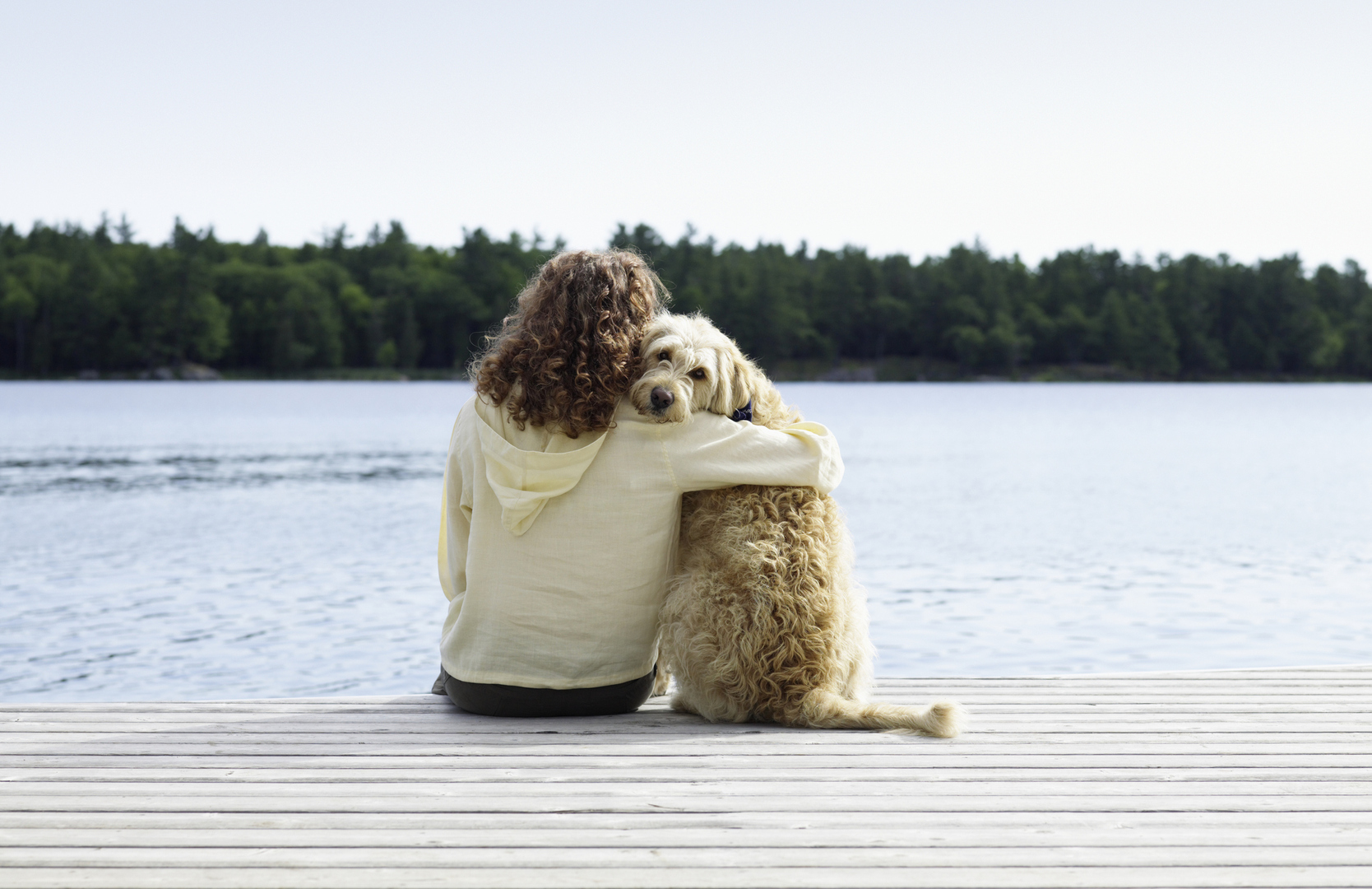 دراسة تؤكد قدرة الكلاب على تمييز رائحة المرهقين والمتوترين