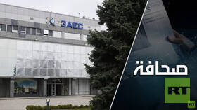 خبير في الطاقة النووية يحدد عواقب إيقاف المفاعل الأخير في محطة زاباروجيه