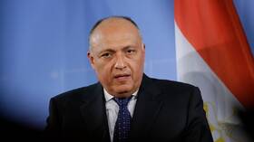 سامح شكري: مصر مستعدة لاستضافة مركز دولي لتوريد وتخزين الحبوب (فيديو)