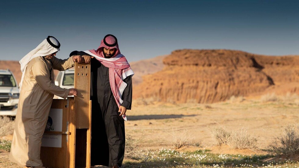 السعودية تتصدر قائمة الدول العربية الأكثر جذبا للسياح عام 2022
