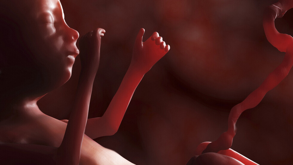 جزيئات تلوث الهواء قد تصل إلى رئتي الأجنة في الرحم وتهدد حياة المولود مستقبلا