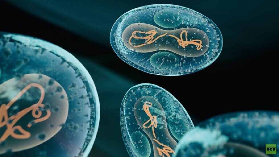 الولايات المتحدة تعتزم إخضاع القادمين من أوغندا لفحوصات الإيبولا