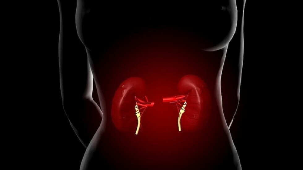 العلماء الروس يكتشفون سبب إصابة كبار السن بأمراض الكلى المزمنة