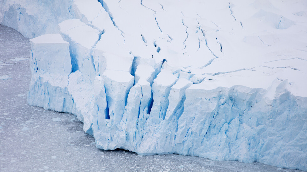 اكتشاف أقدم حمض نووي بحري في العالم في أنتاركتيكا عمره مليون عام