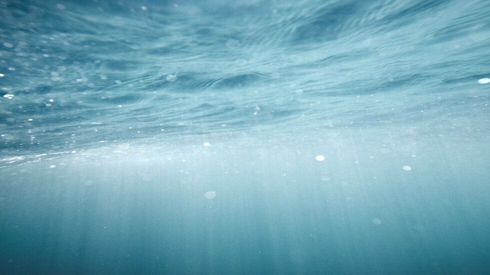 مخلوقات ميتة مدفونة في المحيط الهادئ قد تلعب دورا في حدوث الزلزال المدمر القادم