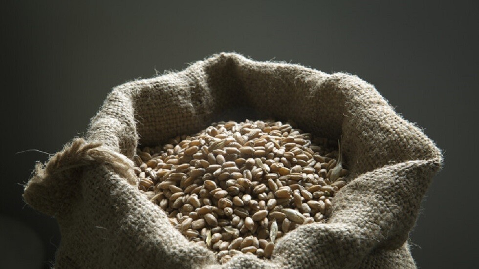 منصة الأمم المتحدة 