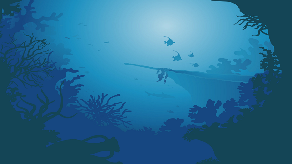 حطام سفينة مهجور من الحرب العالمية الثانية غيّر علم الأحياء الدقيقة في المحيط!