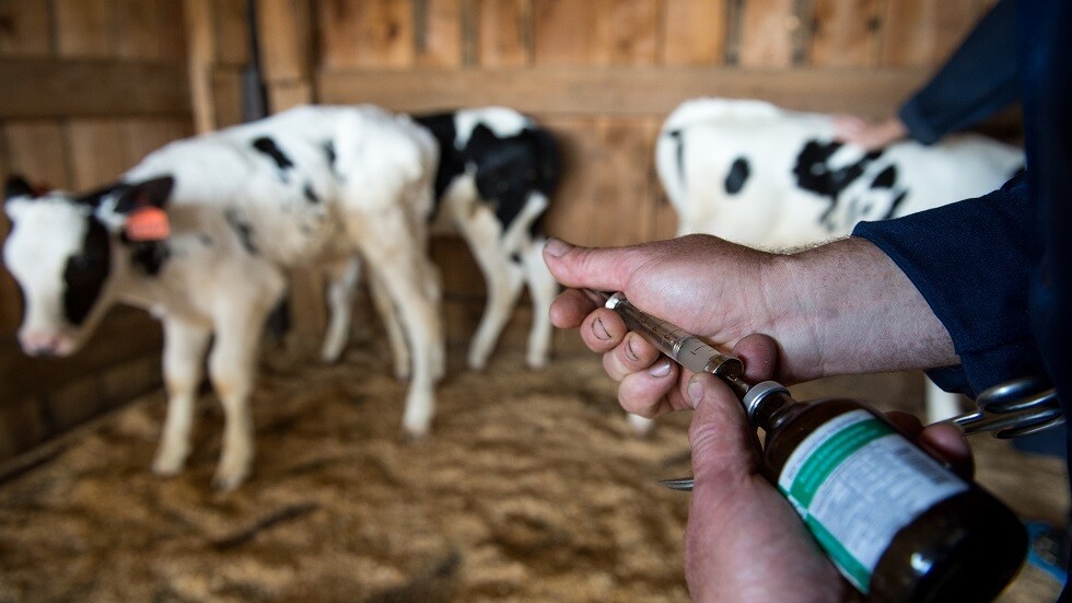 روسيا.. اعتماد قانون للحكم في مخالفة انتهاكات الحجر الصحي المتعلق بالحيوانات المصابة بأمراض خطيرة