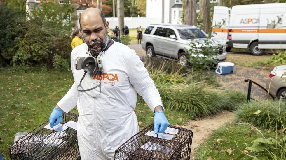 "بياض الثلج".. الشرطة الأمريكية تلقي القبض على امرأة تعيش مع 100 ألف صرصور (صور)